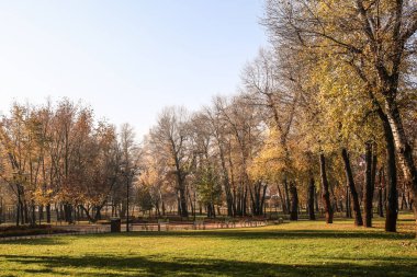 Sonbahar park görünümünü