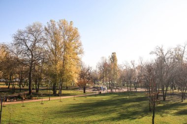 Sonbahar park görünümünü