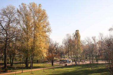 Sonbahar park görünümünü