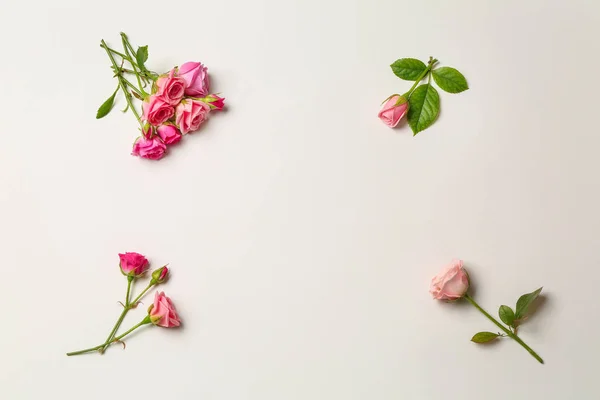 Beyaz Arka Planda Güzel Pembe Güller — Stok fotoğraf
