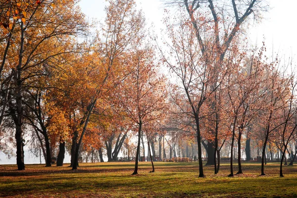 Vista Parque Outono — Fotografia de Stock