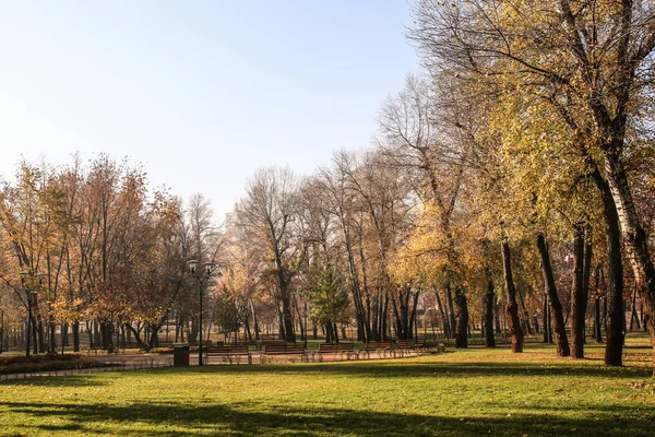 Sonbahar park görünümünü