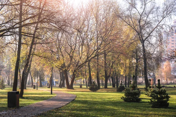 Sonbahar park görünümünü