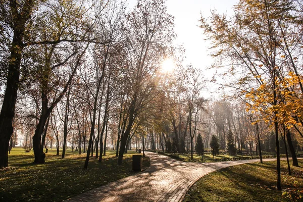 Vista Parque Outono — Fotografia de Stock