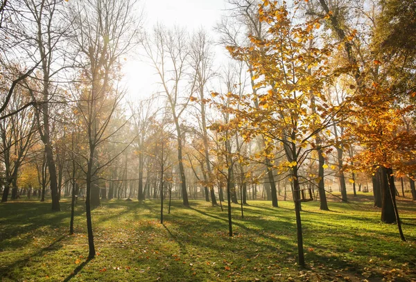 Sonbahar park görünümünü