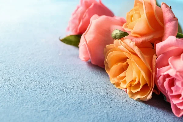 Hermosas Rosas Sobre Fondo Color — Foto de Stock