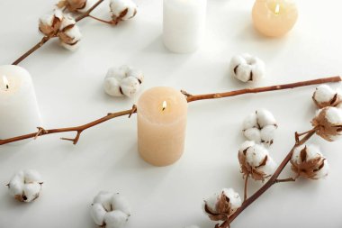 Mumlar ve beyaz arka plan üzerinde pamuk çiçek güzel kompozisyonu