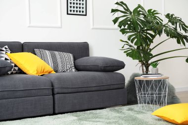 Rahat gri kanepesi olan şık bir oturma odası.