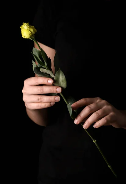 Женщина Красивым Цветком Темном Фоне — стоковое фото