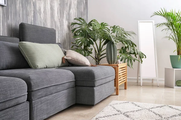 Stylish Interior Living Room Comfortable Grey Sofa — Stock Photo, Image