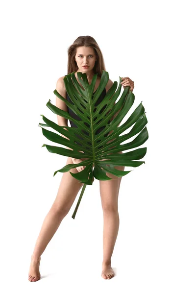 Retrato Mulher Bonita Com Folha Tropical Verde Fundo Branco Imagem De Stock
