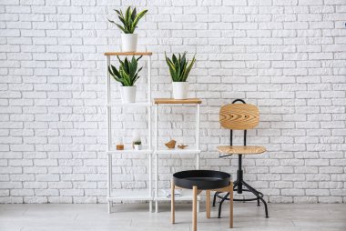 Işıl ışıl modern oda