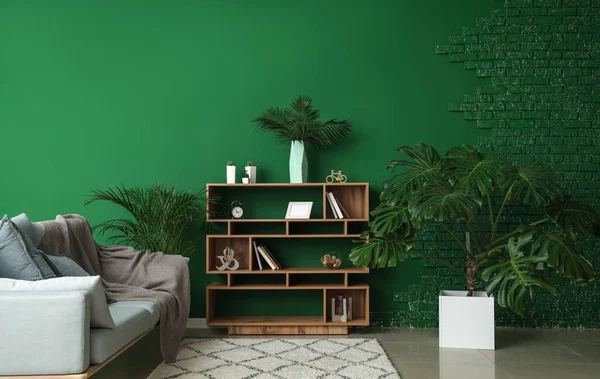 部屋のインテリアに緑の熱帯植物 — ストック写真