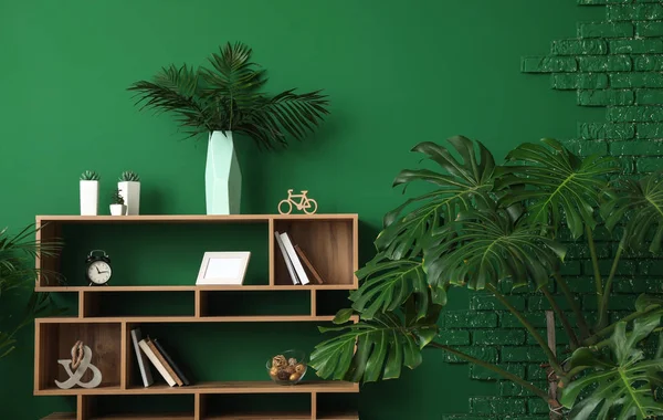 Grüne Tropische Pflanzen Inneren Des Zimmers — Stockfoto