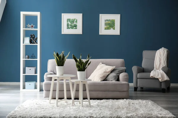 快適なソファ付きのモダンな部屋のインテリア — ストック写真