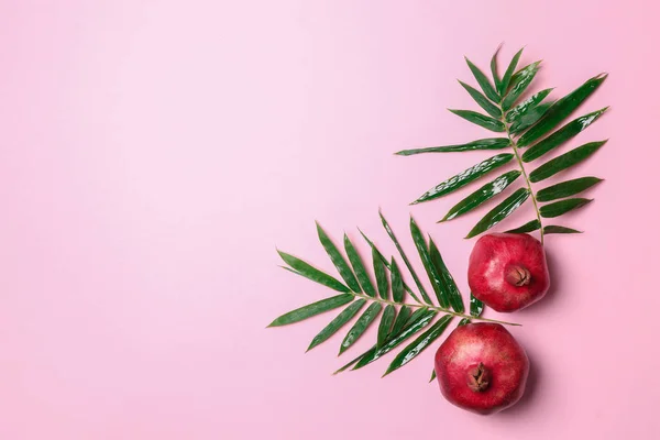 Green Tropical Leaves Pomegranates Color Background — Stock Photo, Image