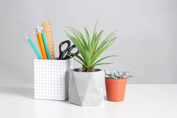 Verschillende Groene Planten Potten Met Briefpapier Witte Tafel — Stockfoto