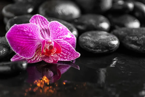 Beautiful Flower Spa Stones Dark Background Stock Photo