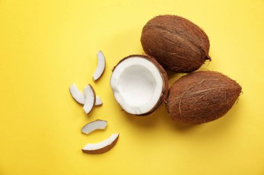 Renkli arkaplanda olgun hindistan cevizleri