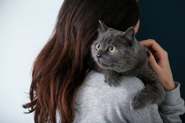 Ev sahibi ile sevimli Britanya ile ilgili stenografi kedi