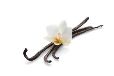 Aromatik vanilya beyaz arka plan üzerinde sopa