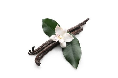 Aromatik vanilya beyaz arka plan üzerinde sopa