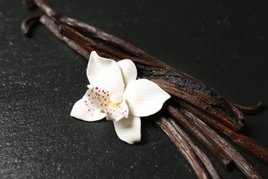 Koyu arka plan üzerinde aromatik vanilya çubukları