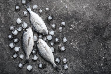 Buz gri arka plan üzerinde taze dorado balık