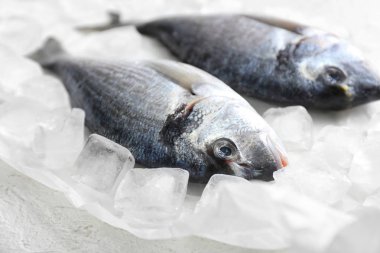 Buz taze dorado balık