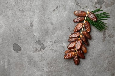 Tatlı tarihleri gri arka plan üzerinde kurutulmuş