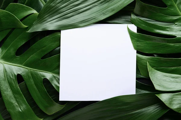 Tarjeta Blanco Sobre Hojas Tropicales Verdes — Foto de Stock