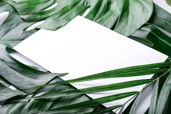 Blank Card Green Tropical Leaves — Stock Photo, Image