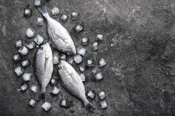 Свежая рыба Дорадо со льдом на сером фоне
