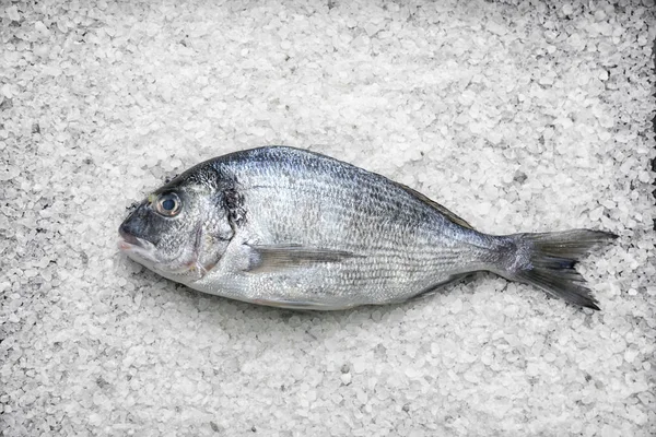 Fresh Dorado Fish Salt — Stock Photo, Image