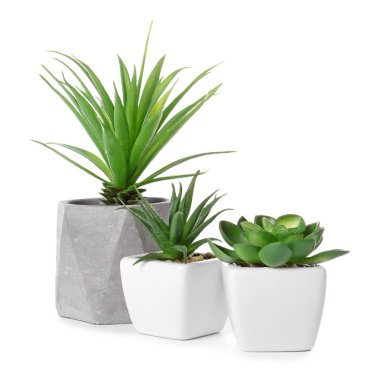 Beyaz arka plan üzerinde farklı houseplants