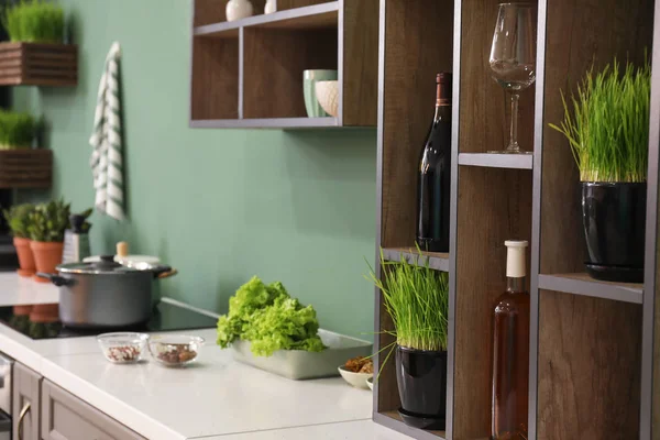 Elegante Interior Cocina Con Césped Verde Macetas Botellas Vino Estantes — Foto de Stock