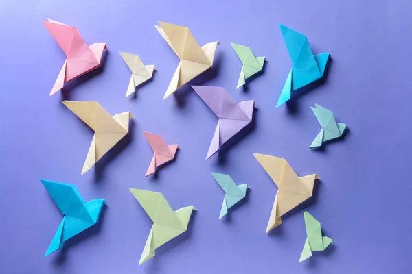 Origami birds on color background
