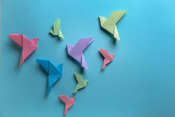 Origami Uccelli Sfondo Colore — Foto Stock