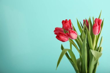 Renkli arkaplanda bir buket güzel lale