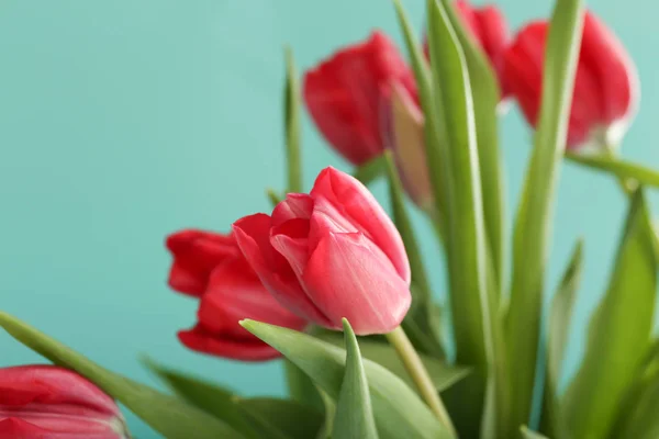 Bouquet of beautiful tulips on color background