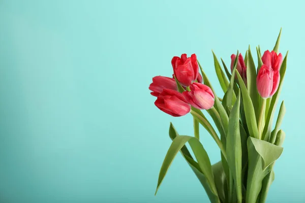 Kytice Krásných Tulipánů Barevném Pozadí — Stock fotografie