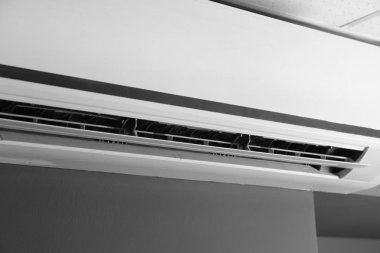 Modern Klima duvar, portre