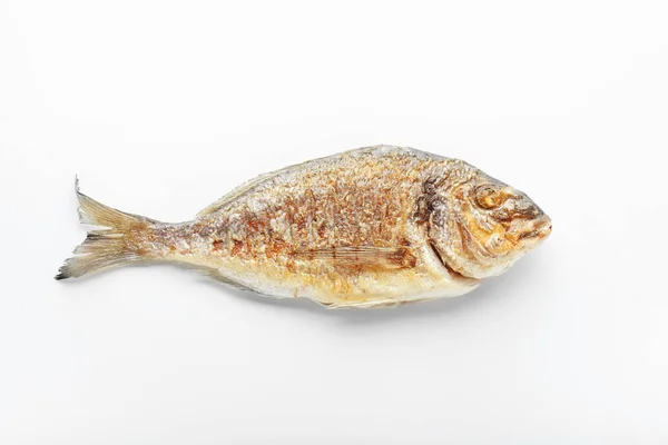 Peixe Dorado Grelhado Sobre Fundo Branco — Fotografia de Stock
