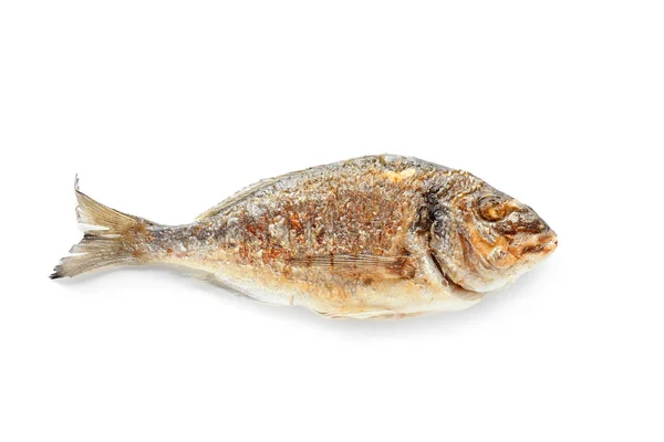 Peixe Dorado Grelhado Sobre Fundo Branco — Fotografia de Stock
