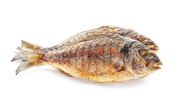 Gegrillter Dorado Fisch Auf Weißem Hintergrund — Stockfoto