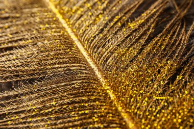 Altın tüy, closeup dokusuna