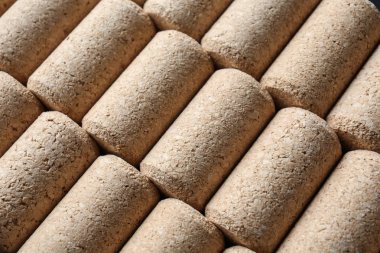 Birçok mantarlar, closeup şişe