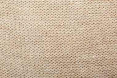 Hafif örme giyim, portre