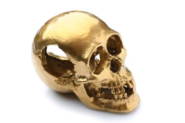Beyaz zemin üzerine altın insan kafatası