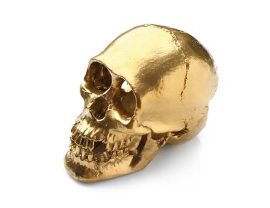 Beyaz zemin üzerine altın insan kafatası